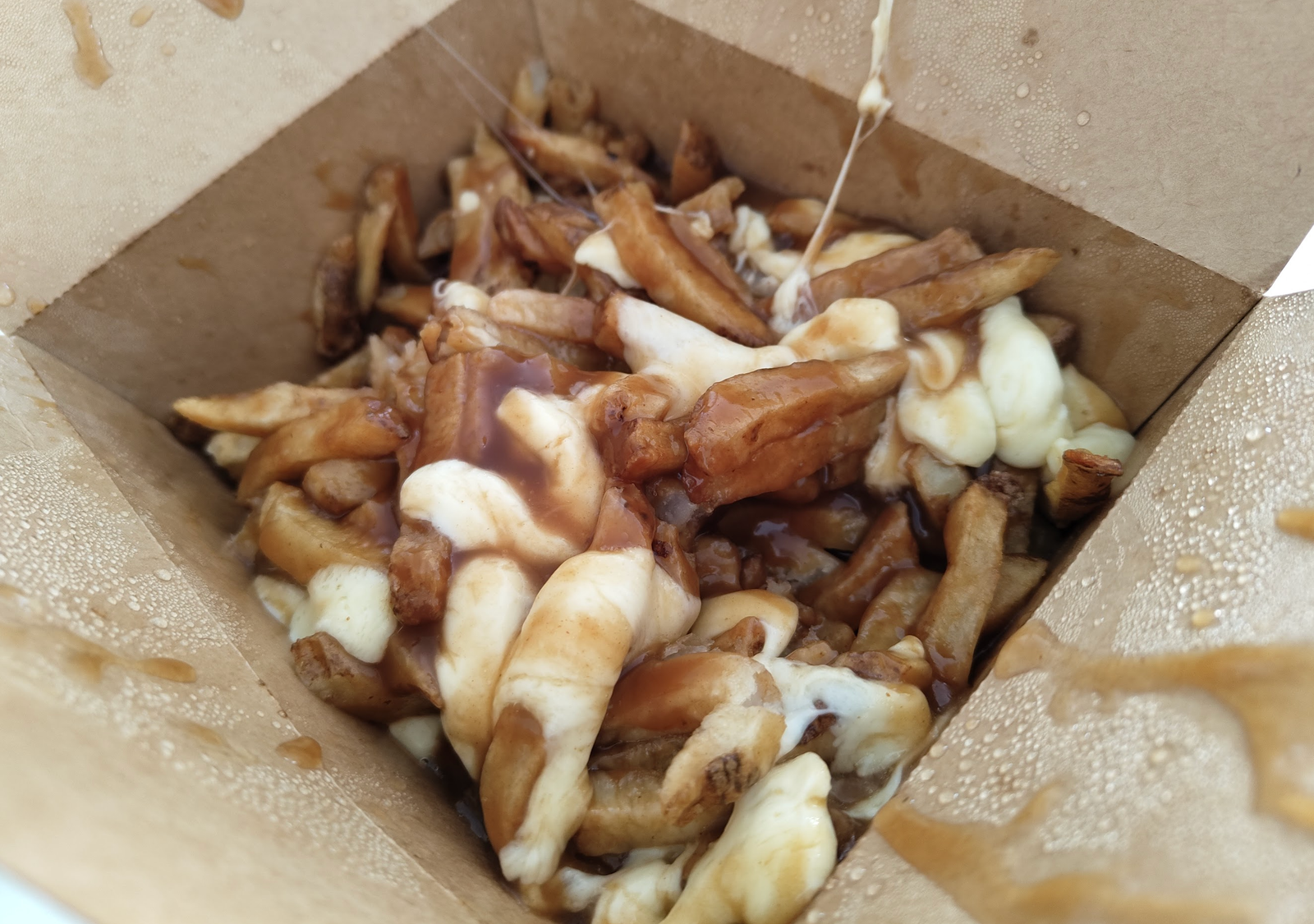 La première poutine j’ai mangé à Canada
